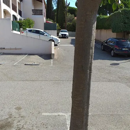 公寓 Joli Res Au Calme En Rez De Jardin A Bandol.