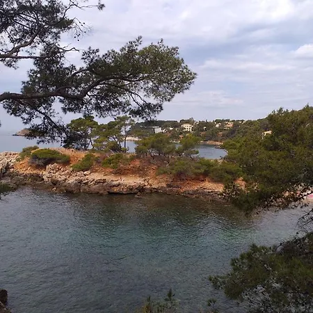 公寓 Joli Res Au Calme En Rez De Jardin A Bandol.